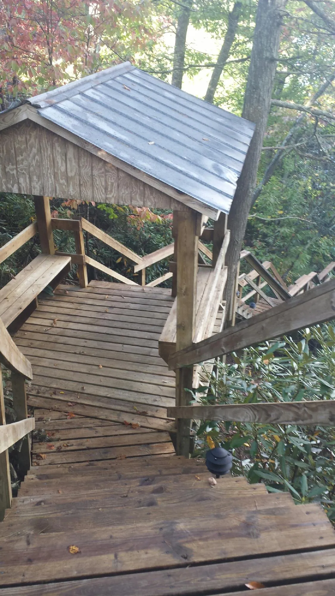 Metal roofed shelter over wooden steps on a wooded walkway — Skylight Repair & Installation work by our crew in Kerkhoven